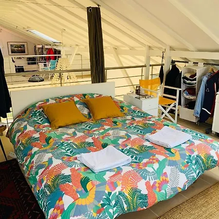 Beachfront Olympus Villa - Bright & Sunny Retreats Holiday home *